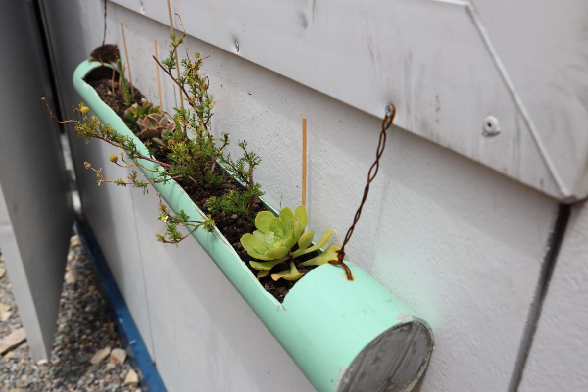 Huerta con plantas ornamentales en un tubo de PVC reutilizado
