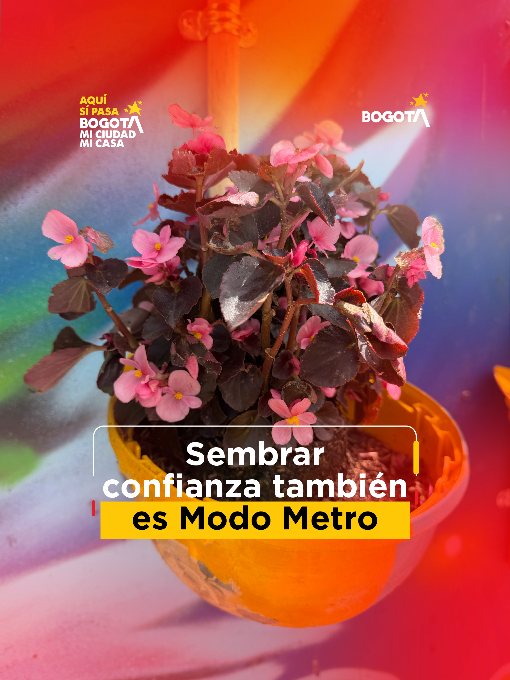 Video del Taller sembrar confianza