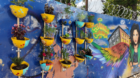 Taller sembrar confianza